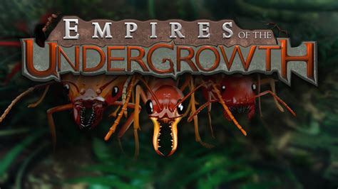 Empires of the Undergrowth? Défi stratégique et exploration fascinante en monde fourmilière!