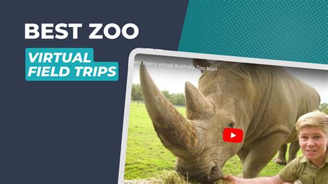 Wildlife Park: Un Zoo Virtuel Empli de Défis Passionnants!